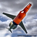 Pic_beer_plane