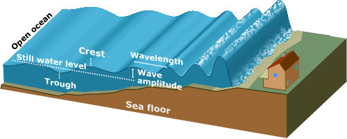 tsunami1.jpg